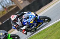 Oulton-Park-14th-March-2020;PJ-Motorsport-Photography-2020;anglesey;brands-hatch;cadwell-park;croft;donington-park;enduro-digital-images;event-digital-images;eventdigitalimages;mallory;no-limits;oulton-park;peter-wileman-photography;racing-digital-images;silverstone;snetterton;trackday-digital-images;trackday-photos;vmcc-banbury-run;welsh-2-day-enduro